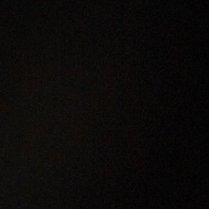 Meet your Posher, Riley